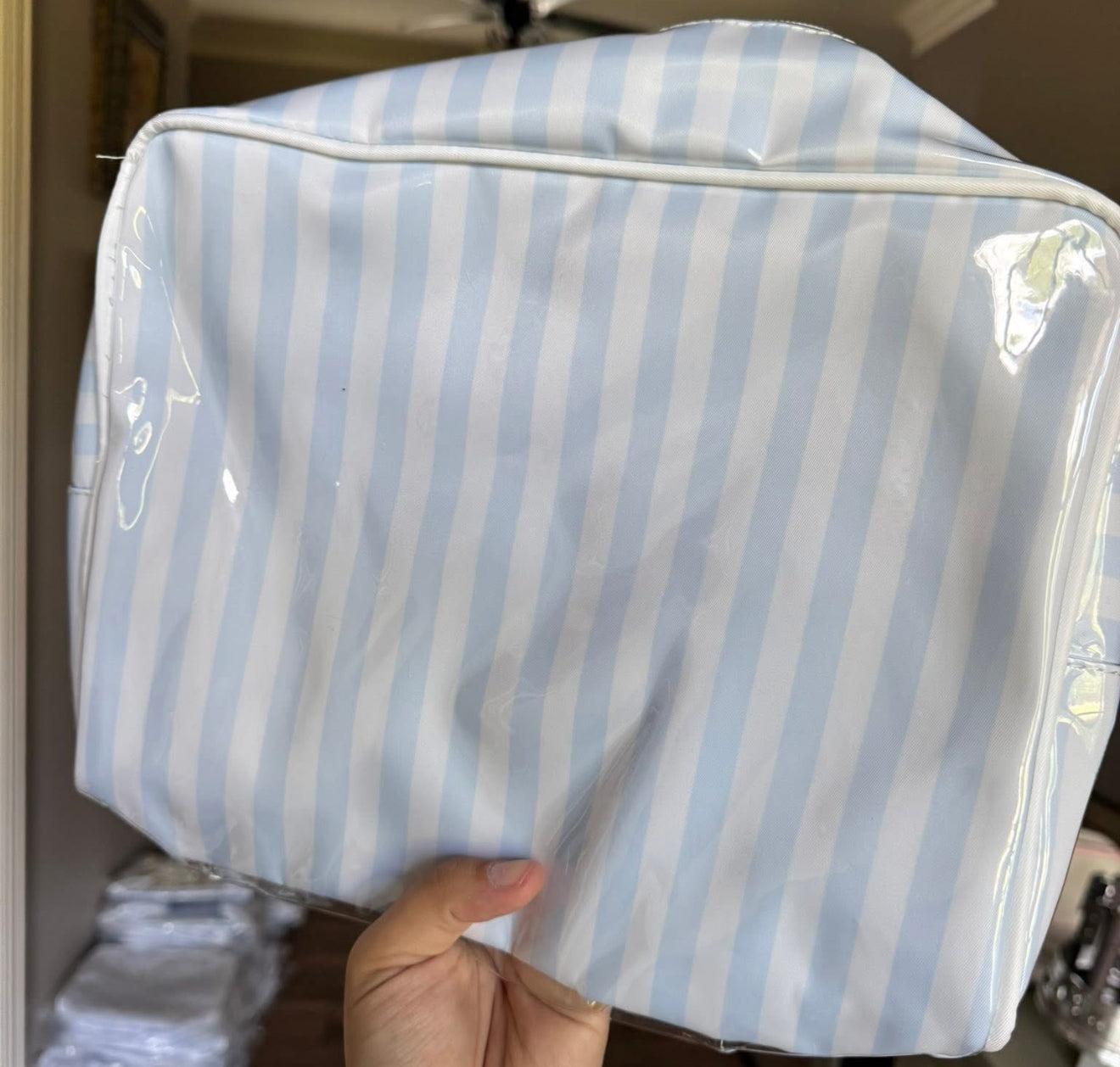 Clear Coat Bag